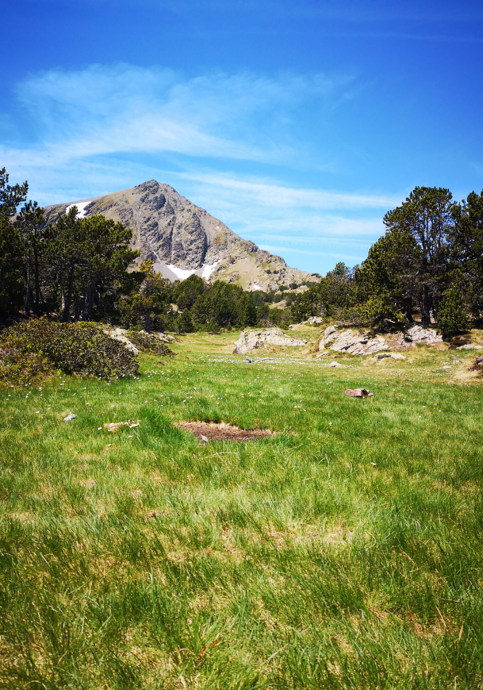 montagne rando formigueres trio pyrenees