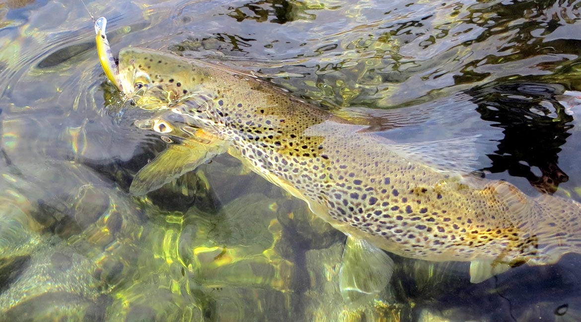 Pêche à Formiguères