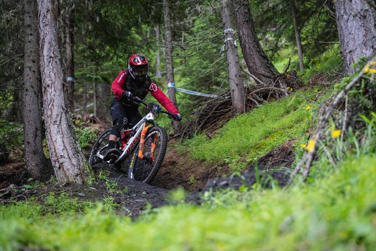 VTT_foret Le loup au parc animalier des angles
