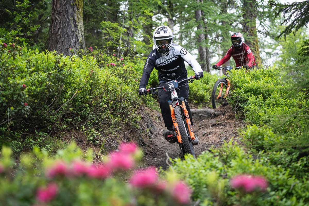 VTT_rhodos Le loup au parc animalier des angles