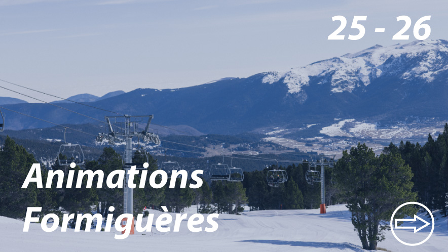 Banderole-web-animation-formi